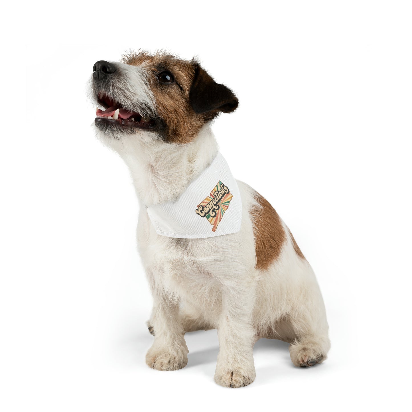 Connecticut Groovy Pet Bandana Collar
