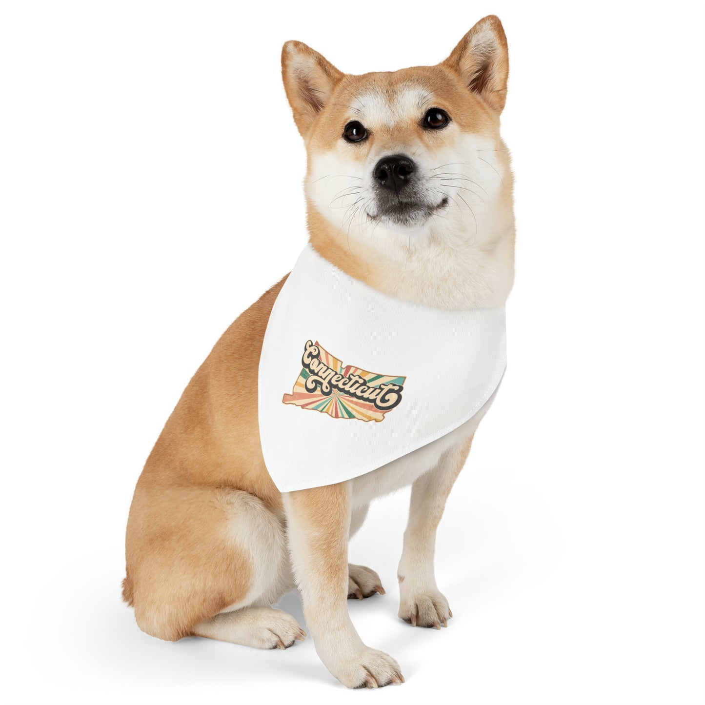 Connecticut Groovy Pet Bandana Collar