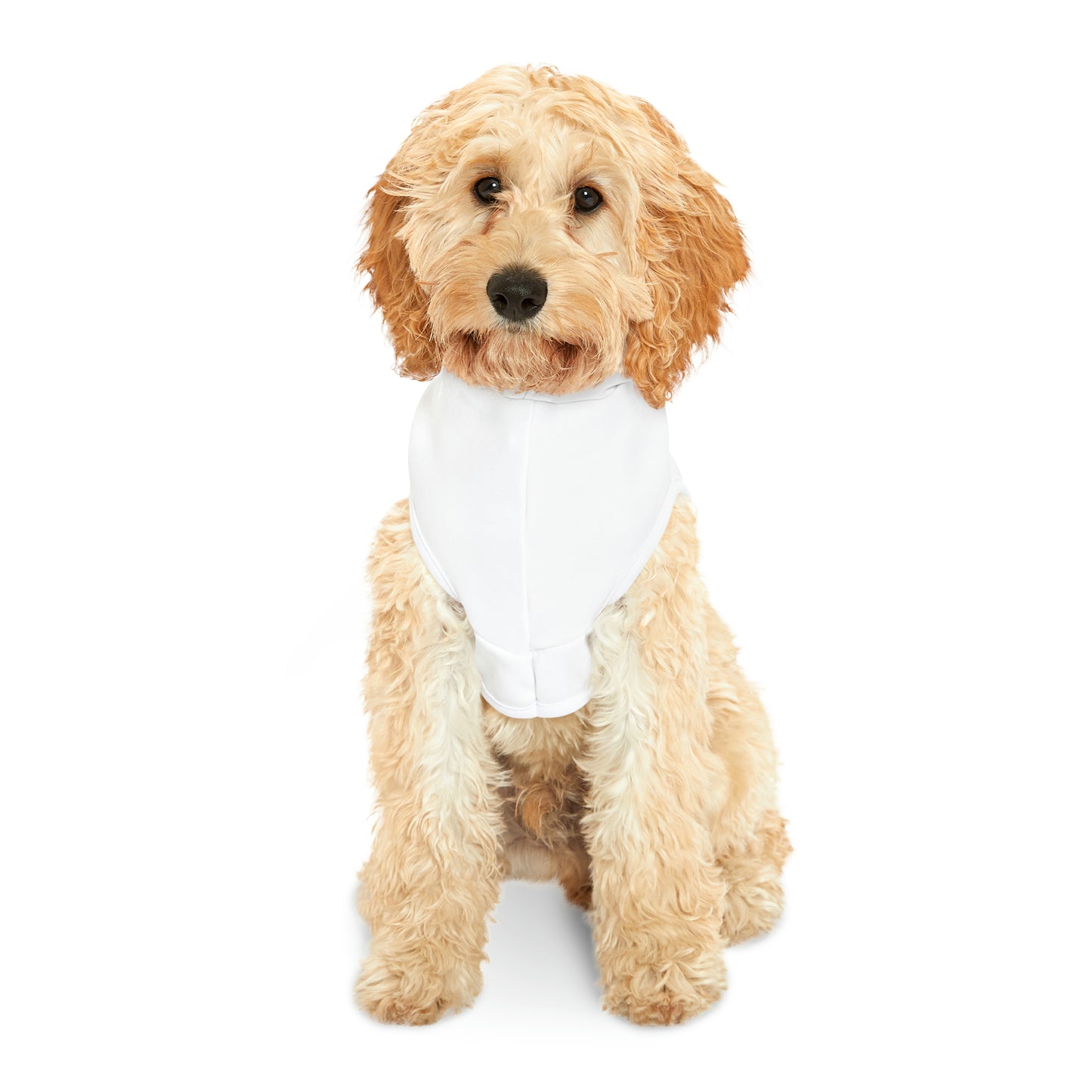Connecticut Groovy Pet Hoodie