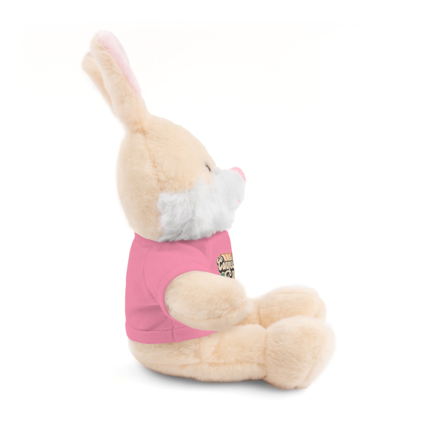 Connecticut Groovy Stuffed Animals with Tee (multiple animals and colors)