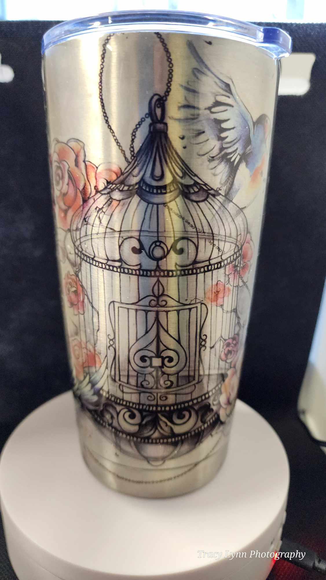20 Oz Epoxy Tumbler and metal Straw - Bird and cage