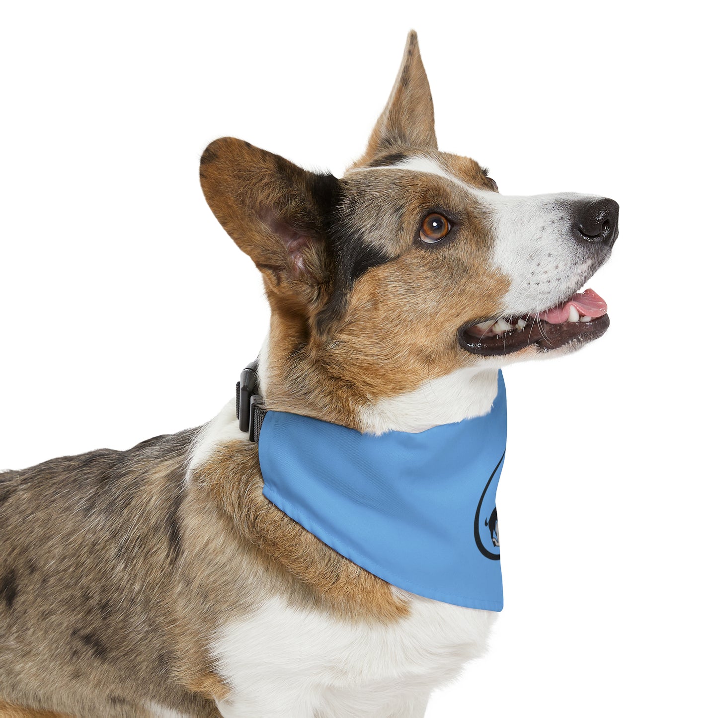 Monkey's Pack Blue Pet Bandana Collar