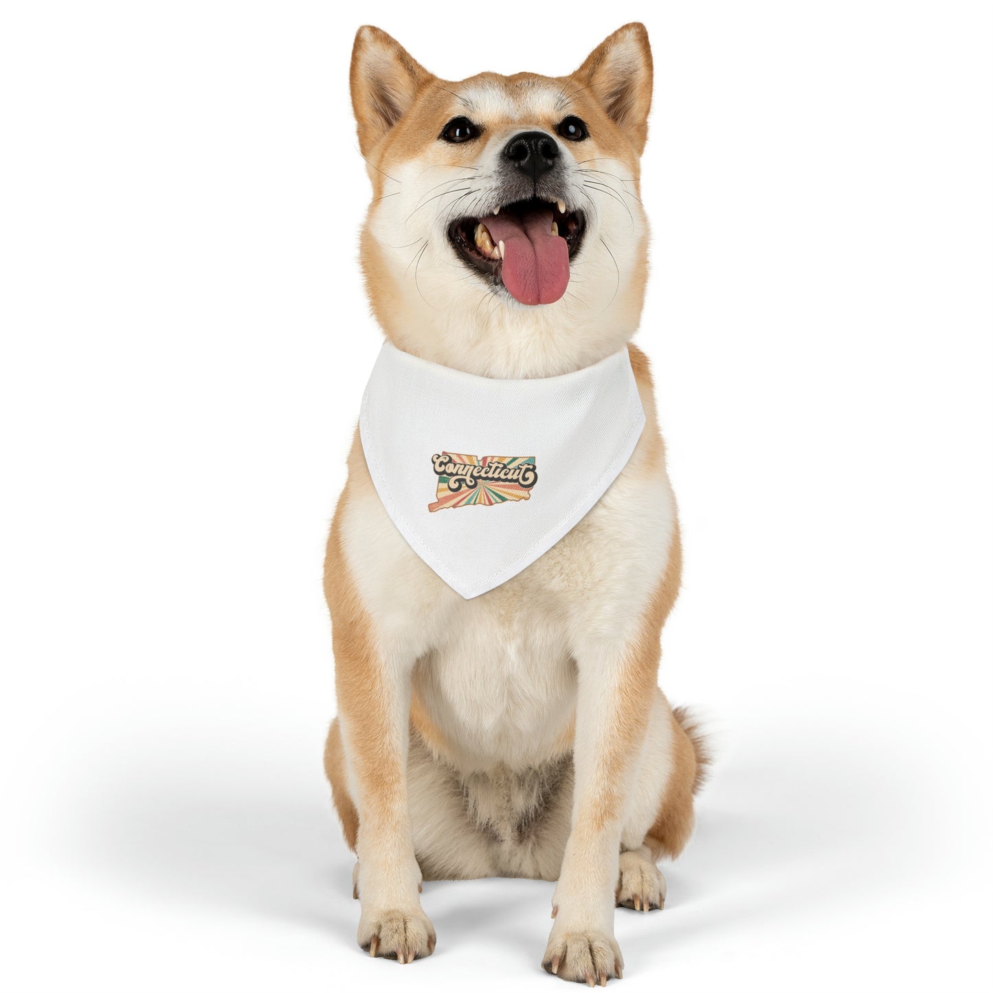 Connecticut Groovy Pet Bandana Collar