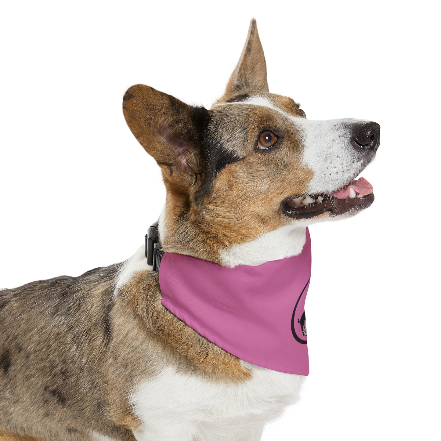 Monkey's Pack Pink Pet Bandana Collar