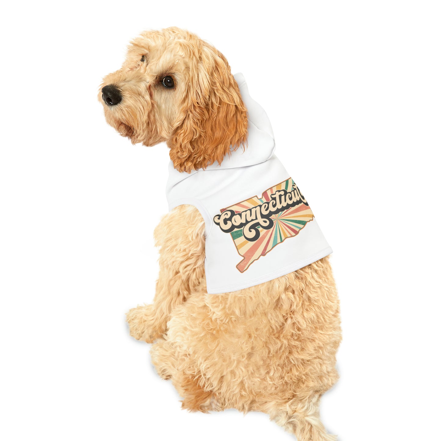 Connecticut Groovy Pet Hoodie