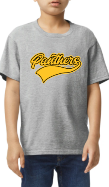 Panthers banner YOUTH to ADULT Tee - customizable