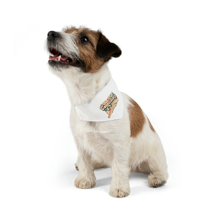 Connecticut Groovy Pet Bandana Collar