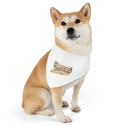 Connecticut Groovy Pet Bandana Collar