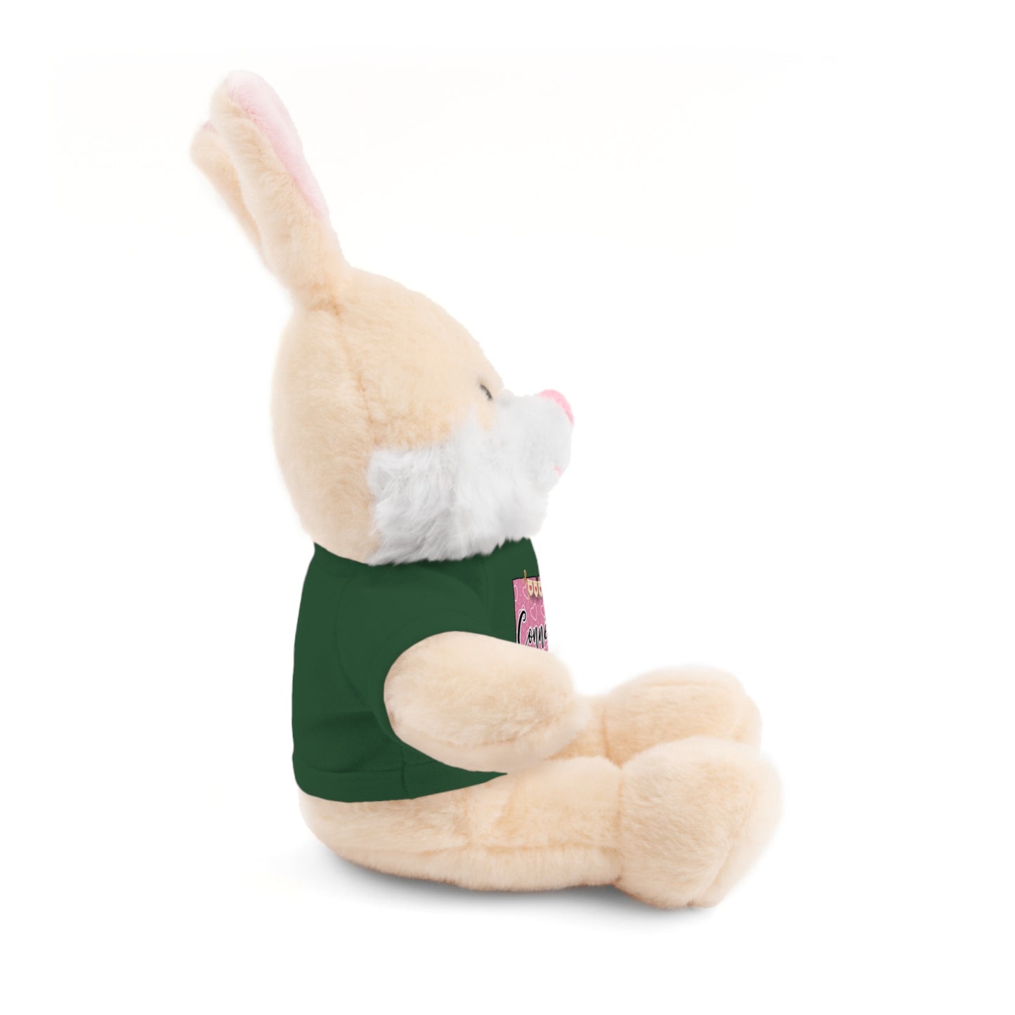 Connecticut Valentine Stuffed Animals with Tee (choose from many animals and colors)