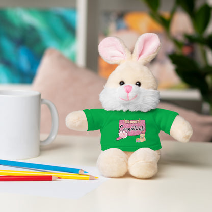 Connecticut Valentine Stuffed Animals with Tee (choose from many animals and colors)