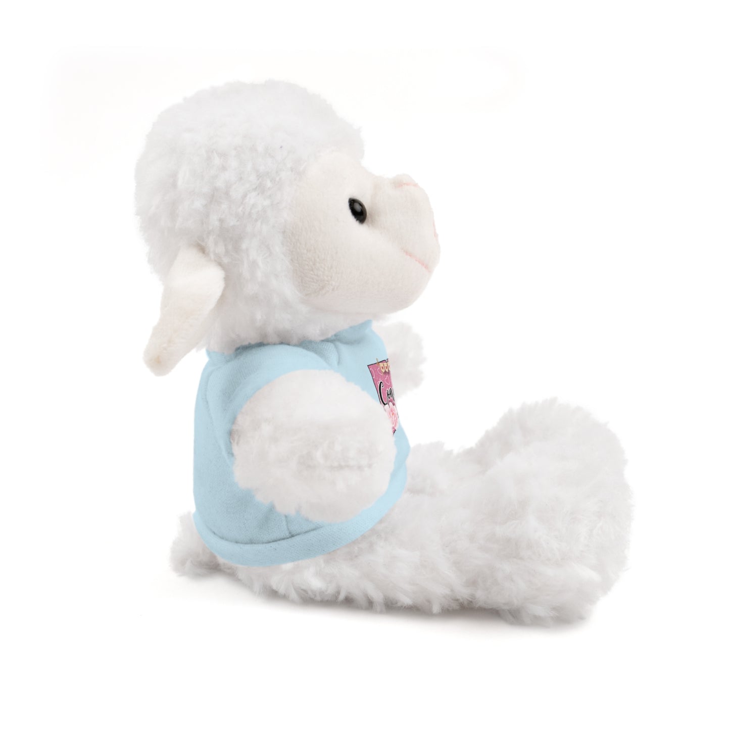 Connecticut Valentine Stuffed Animals with Tee (choose from many animals and colors)