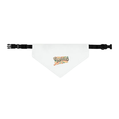 Connecticut Groovy Pet Bandana Collar