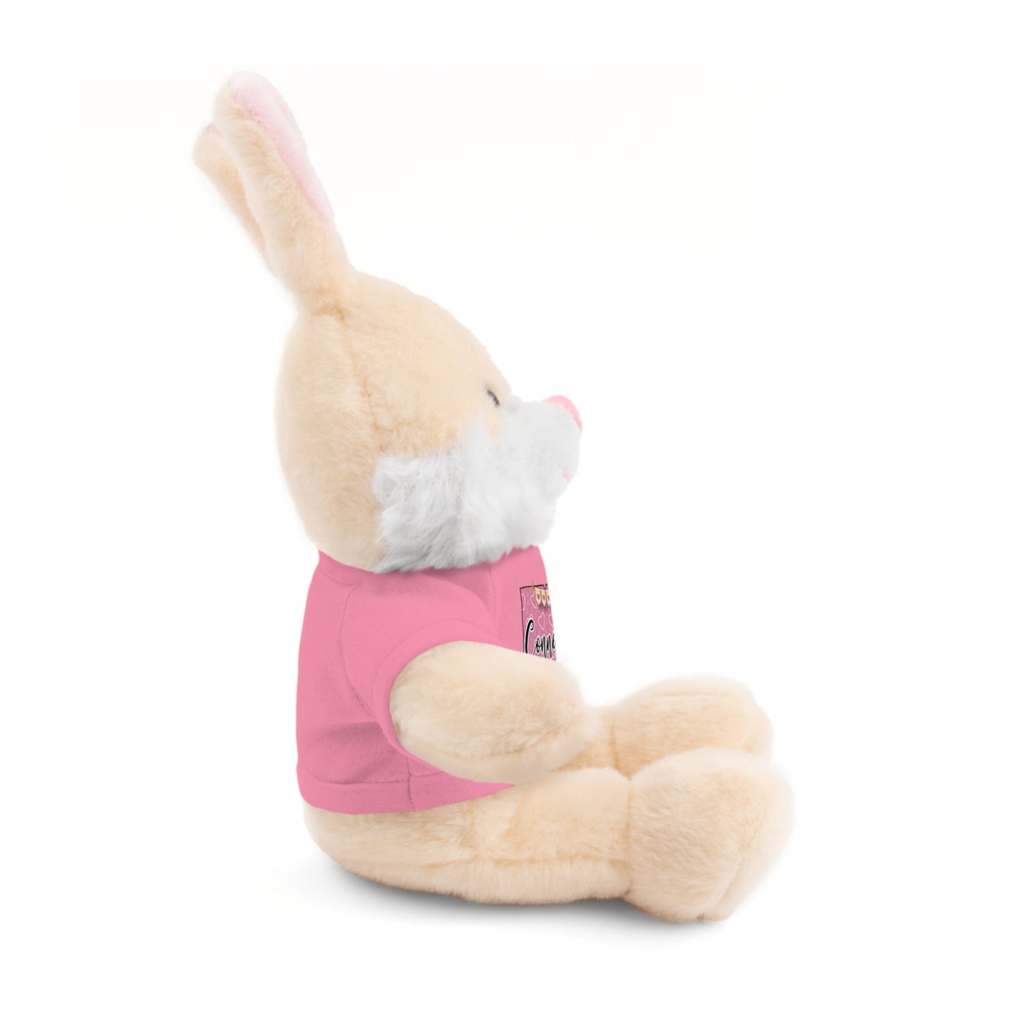 Connecticut Valentine Stuffed Animals with Tee (choose from many animals and colors)