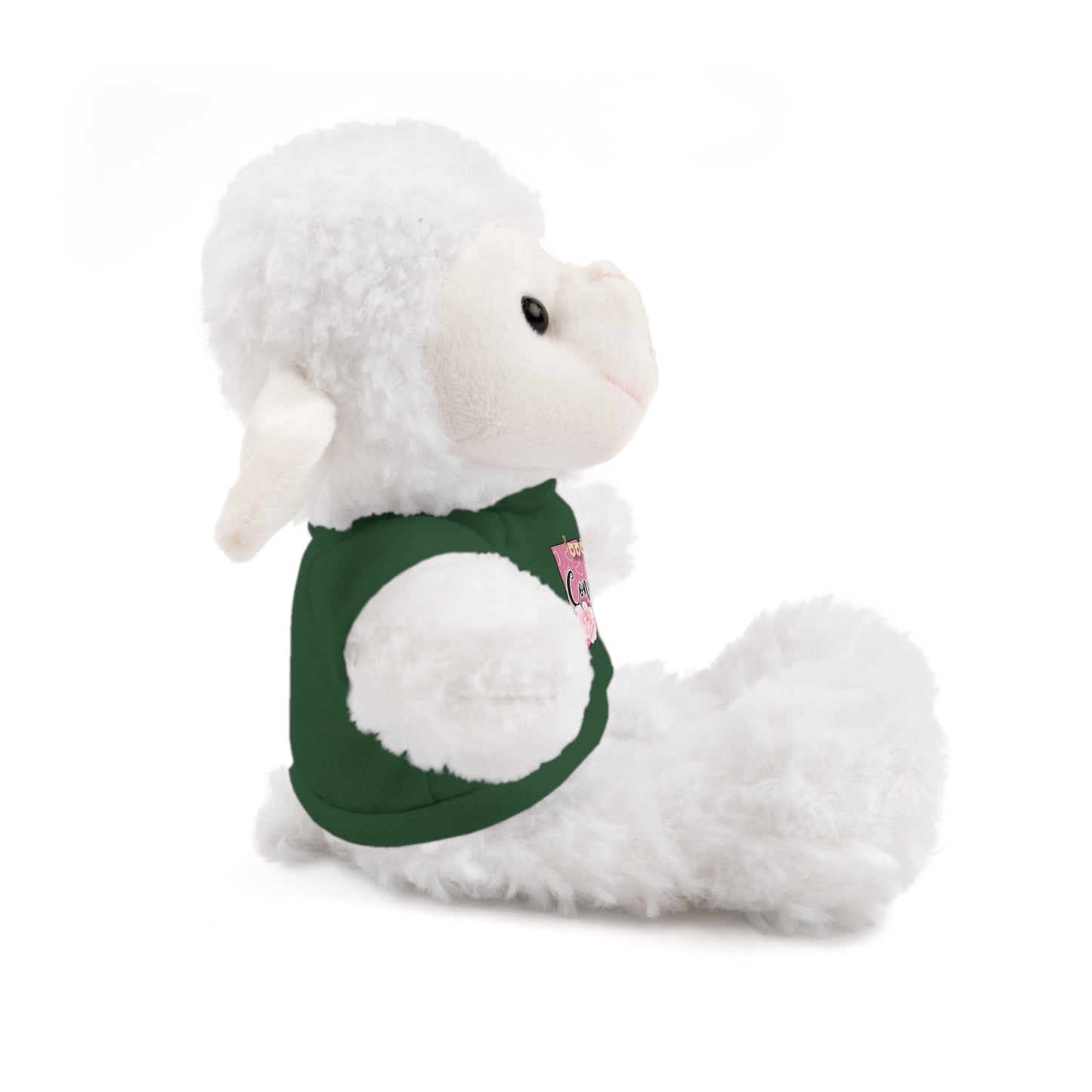 Connecticut Valentine Stuffed Animals with Tee (choose from many animals and colors)