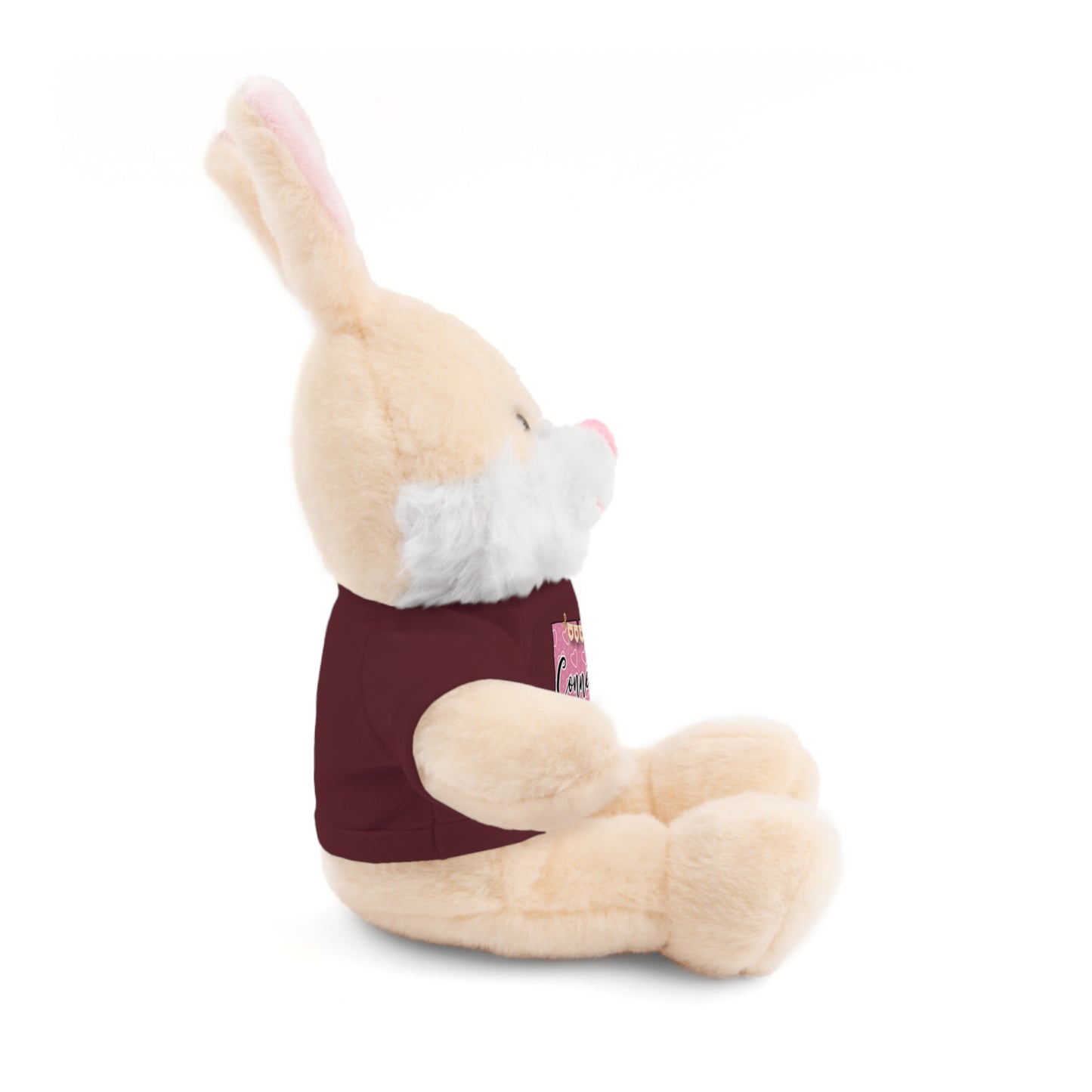 Connecticut Valentine Stuffed Animals with Tee (choose from many animals and colors)