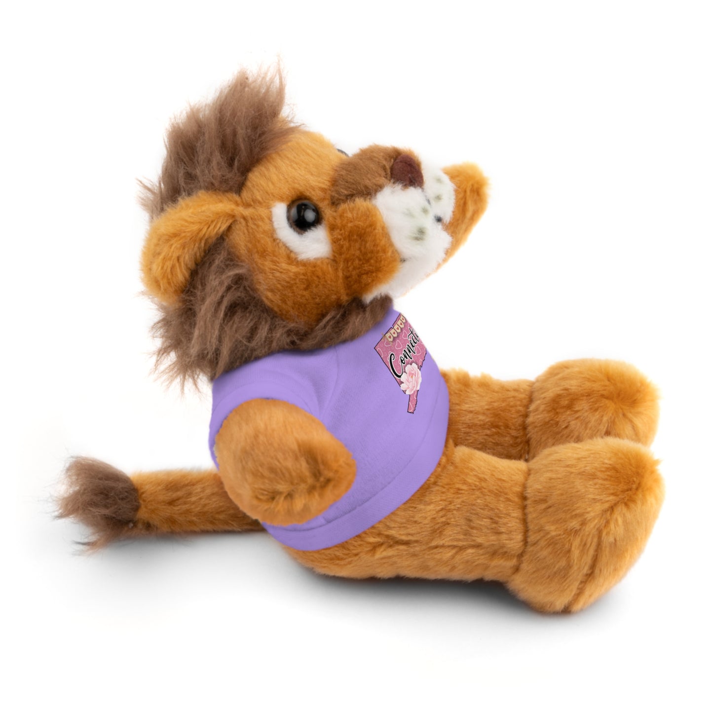 Connecticut Valentine Stuffed Animals with Tee (choose from many animals and colors)