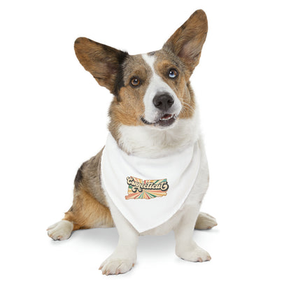 Connecticut Groovy Pet Bandana Collar