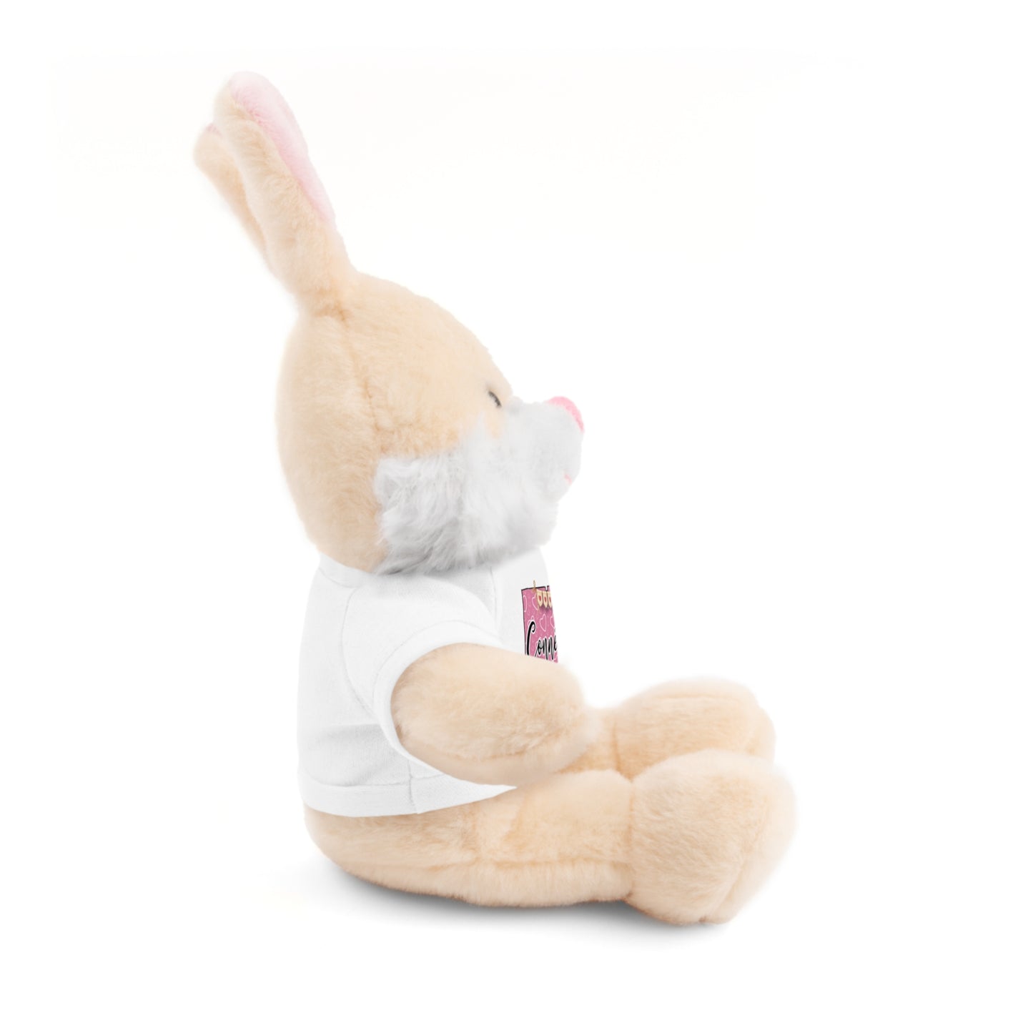 Connecticut Valentine Stuffed Animals with Tee (choose from many animals and colors)