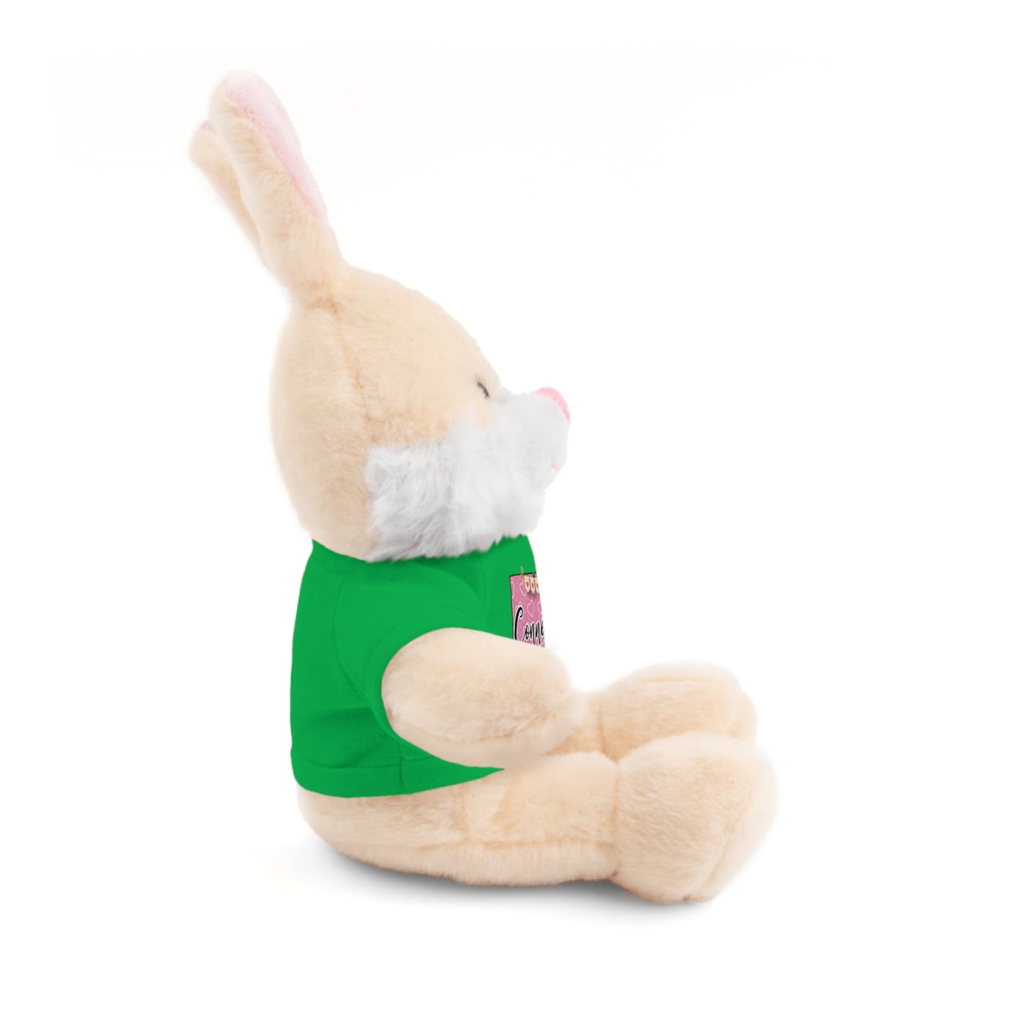 Connecticut Valentine Stuffed Animals with Tee (choose from many animals and colors)