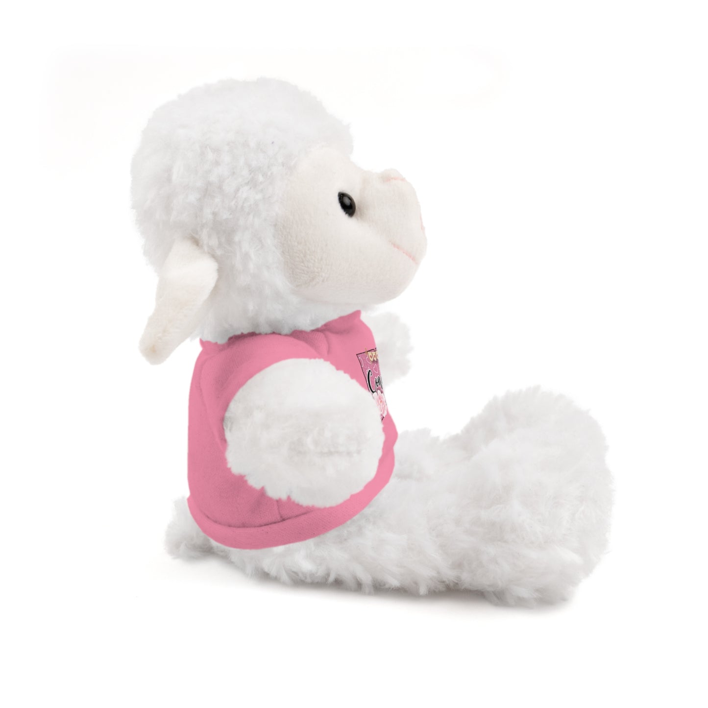 Connecticut Valentine Stuffed Animals with Tee (choose from many animals and colors)