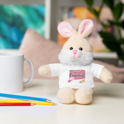 Connecticut Valentine Stuffed Animals with Tee (choose from many animals and colors)