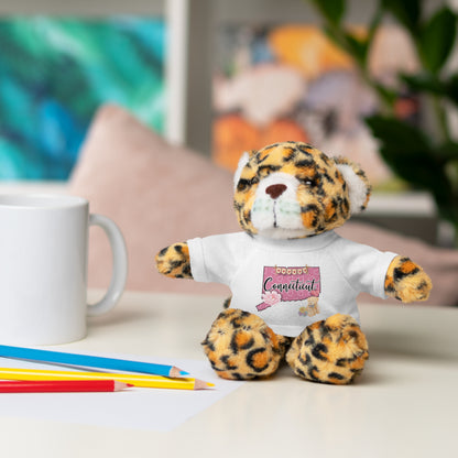 Connecticut Valentine Stuffed Animals with Tee (choose from many animals and colors)