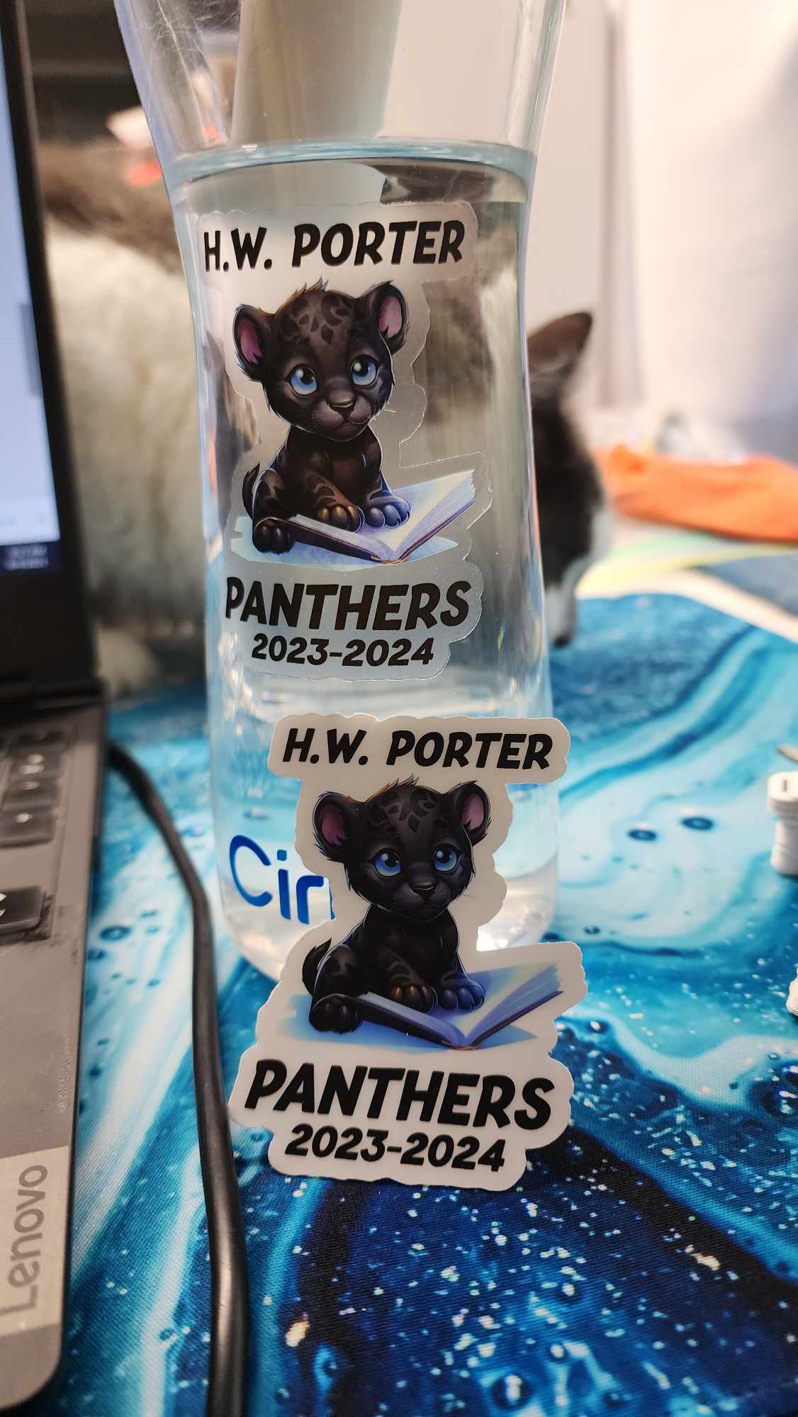 Limited Edition Clear High Quality Printed Youth Reading Panther Decal