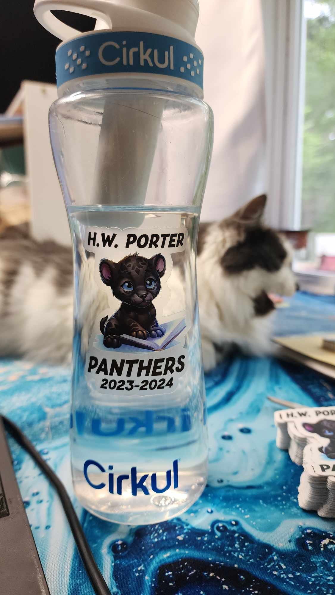 Clear Printed Decal of a Youth panther reading a book with the words H.W. Porter Panthers 