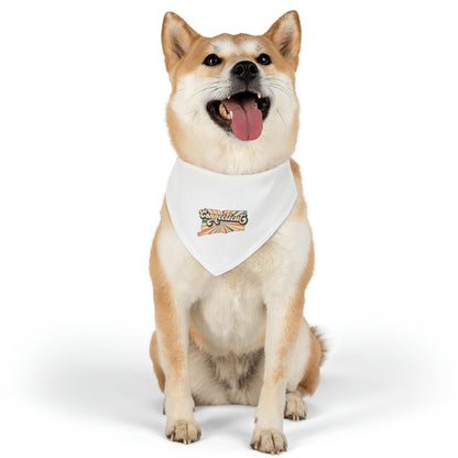 Connecticut Groovy Pet Bandana Collar