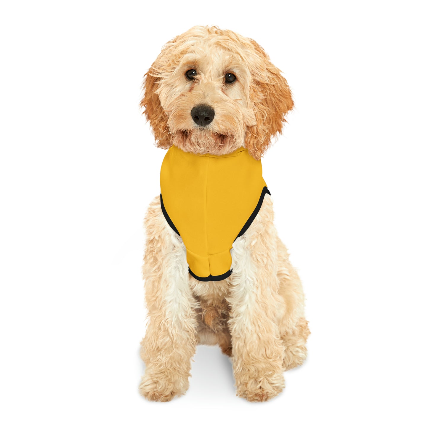 Monkeys Pack Yellow Pet Hoodie