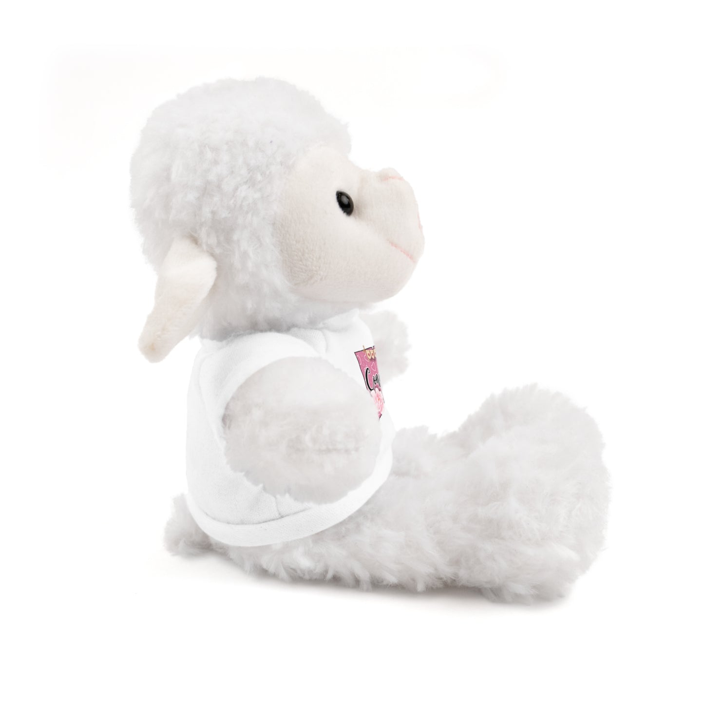 Connecticut Valentine Stuffed Animals with Tee (choose from many animals and colors)