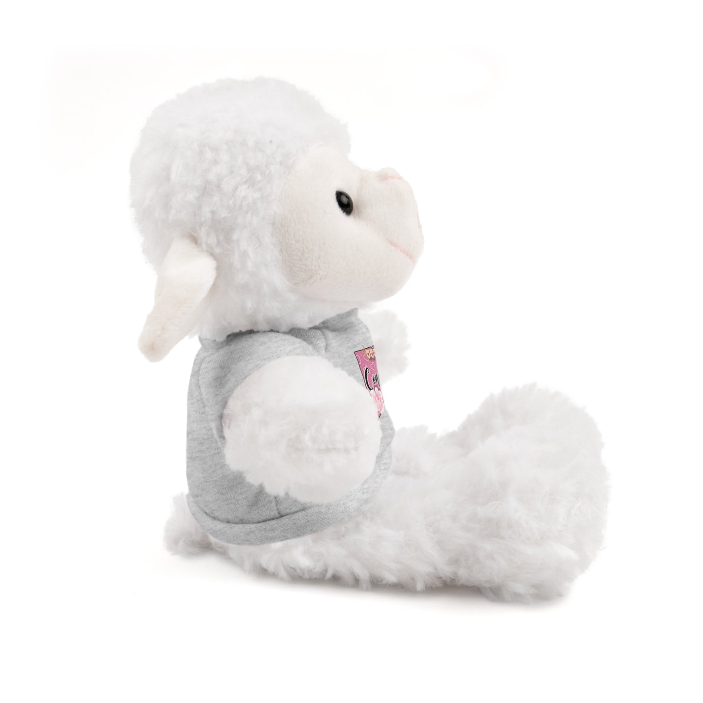 Connecticut Valentine Stuffed Animals with Tee (choose from many animals and colors)