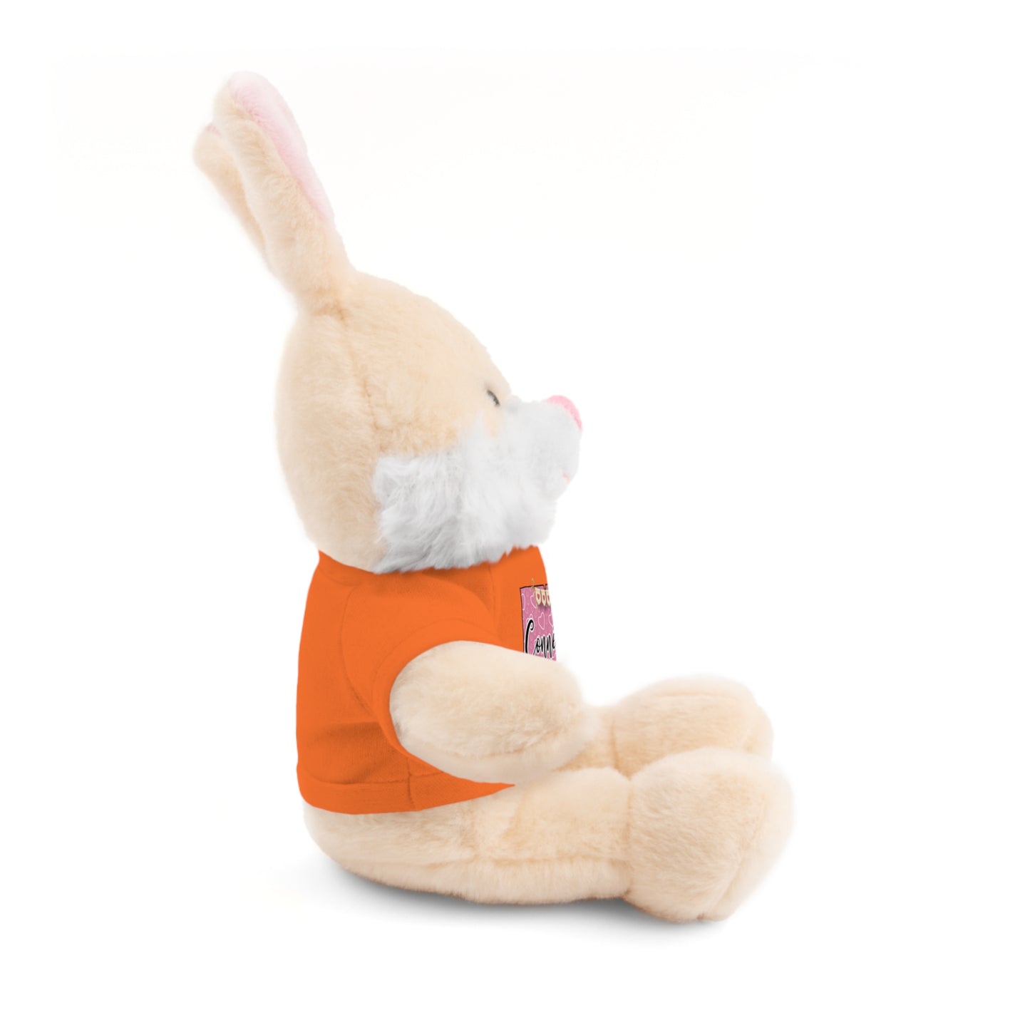 Connecticut Valentine Stuffed Animals with Tee (choose from many animals and colors)