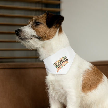 Connecticut Groovy Pet Bandana Collar