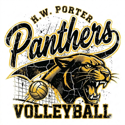 H.W. Porter Grunge VOLLEYBALL Adult Gildan Heavy 50/50 Blend Hooded Sweatshirt- Custom Personalization!