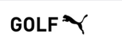 AEC Ladies' Icon Golf Polo (choose custom color and logo type)