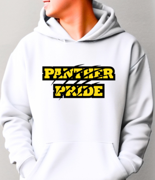 Panthers PRIDE - Hooded Softstyle Sweatshirt YOUTH to ADULT sizes (multiple color/ layout choices)
