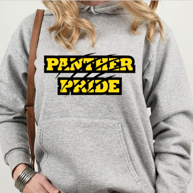 Panthers PRIDE - Hooded Softstyle Sweatshirt YOUTH to ADULT sizes (multiple color/ layout choices)