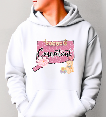 Connecticut Valentine Softstyle Hoodie - (lots of color choices)