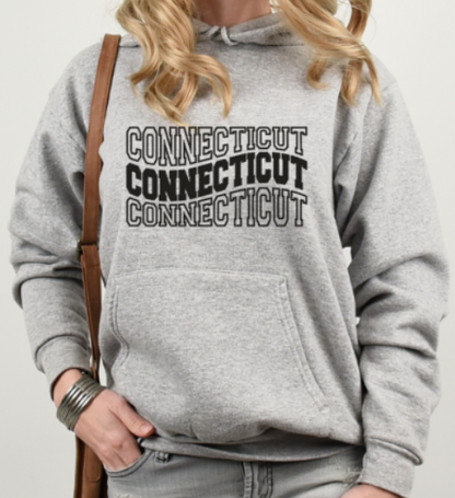 Connecticut Curve Softstyle Hoodie - (lots of color choices)