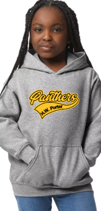 Panthers - Hooded YOUTH Softstyle Sweatshirt (multiple color/ layout choices)