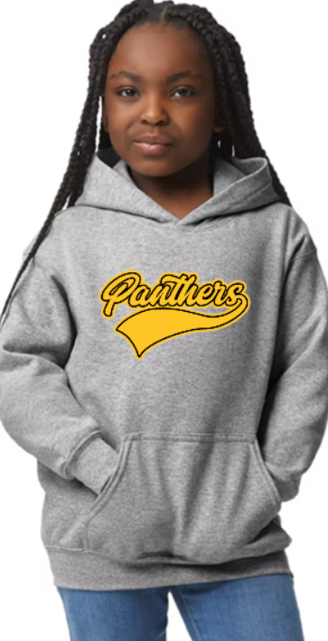 Panthers Banner- Hooded sweatshirt YOUTH TO ADULT - customizable