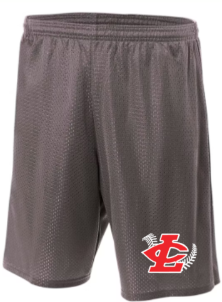 CLLL Mesh Shorts Youth (6") to Adult (7 to 9"inseam adut) GRAPHITE