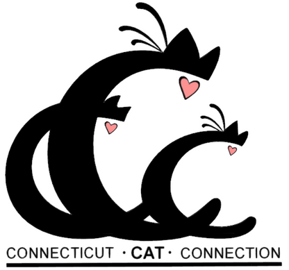 Cat Connection Softstyle Gildan Tshirt - Customize yours today!