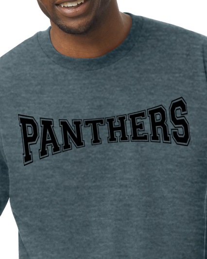 Panthers ADULT Softstyle Tee