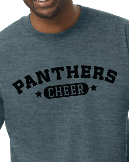 Panthers Cheer Oval ADULT Softstyle Tee