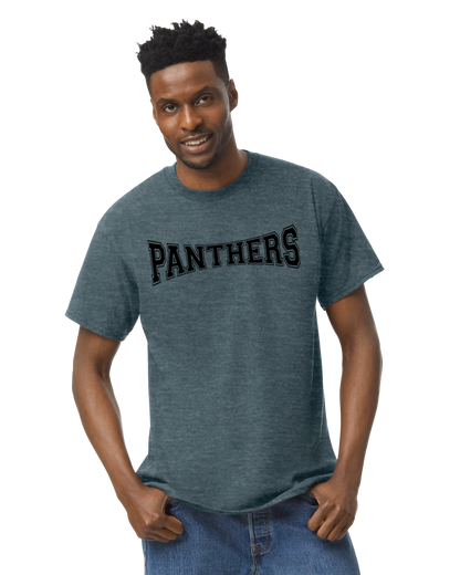 Panthers ADULT Softstyle Tee